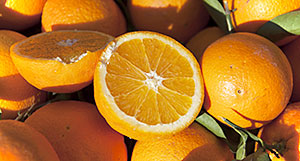 Καθίζηση στις τιμές παραγωγού πορτοκαλιών ποικιλίας Βαλέντσια, με μείωση εγχώριας ζήτησης και υποτονικές εξαγωγές