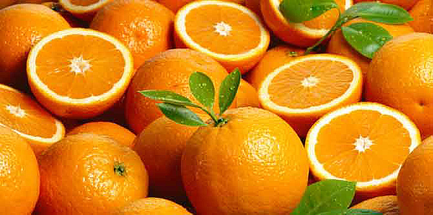Με καλές τιμές, λόγω μειωμένης παραγωγής, συνεχίζεται η συγκομιδή των πορτοκαλιών ποικιλίας Βαλέντσια