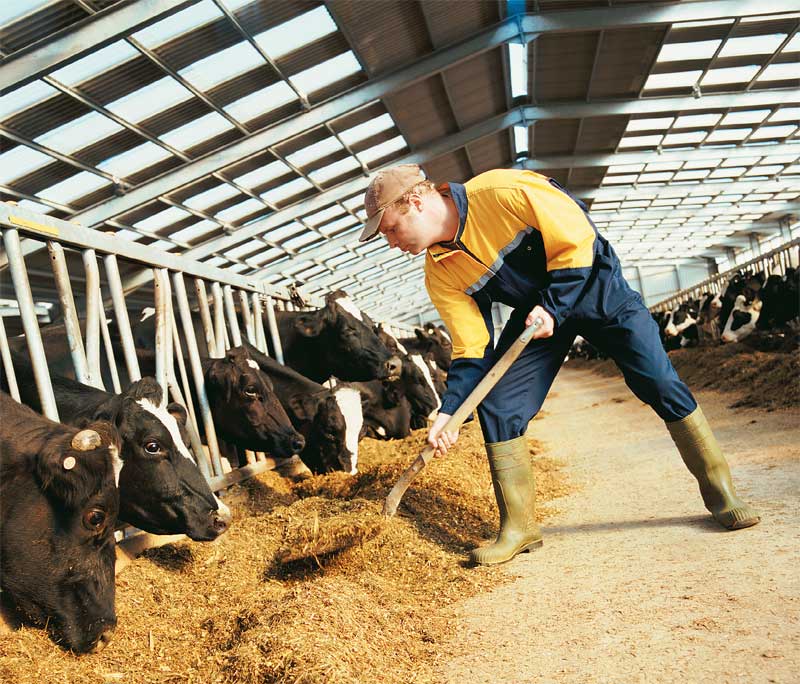 Ανακοίνωση της Περιφερειακής Ενότητας Λακωνίας που αφορά στην κτηνοτροφία και στις κτηνοτροφικές εγκαταστάσεις