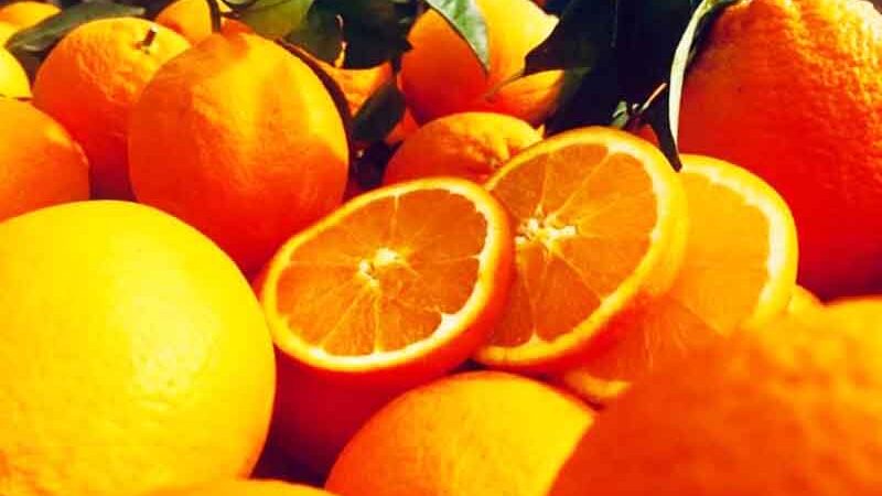 Greek orange Οι Αιγύπτιοι βγάζουν εκτός αγορών το ελληνικό πορτοκάλι, πτώση τιμών απόγνωση παραγωγών