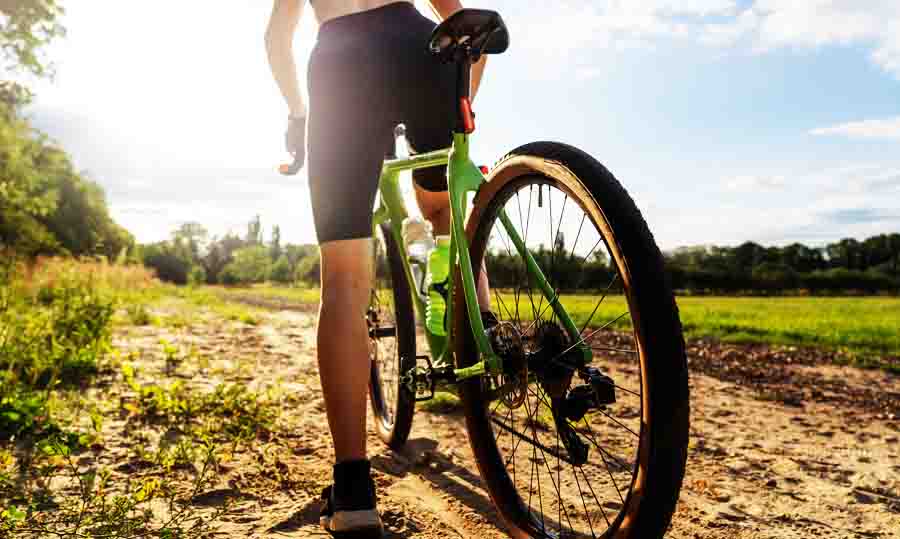 bicycle day